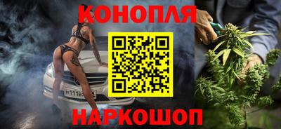 гашик Малгобек