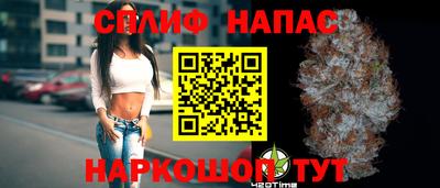 гашик Малгобек