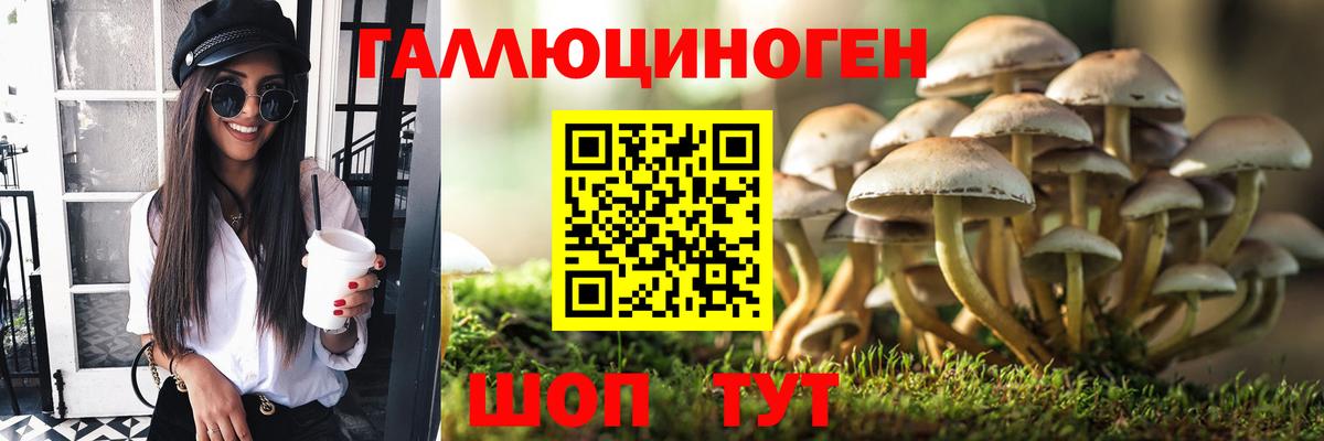 купить  цена  Вход с VPN  Шумерля  Псилоцибиновые грибы Magic Shrooms 